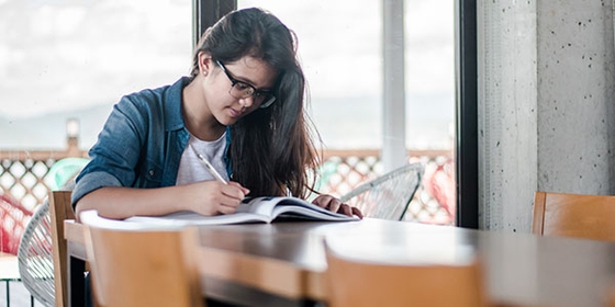 Thumbnail image for Penultimate-year career guide