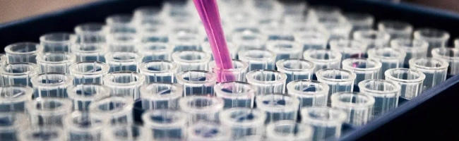 Featured image for Analytical chemist: job description