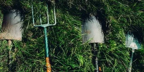 Thumbnail image for Geomatics/land surveyor: job description