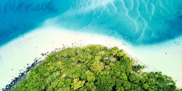 Thumbnail image for Johnson Matthey Plc