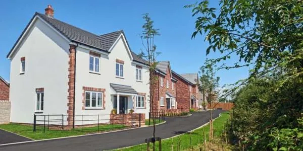 Thumbnail image for Vistry Group