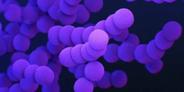 Thumbnail image for Microbiologist: job description